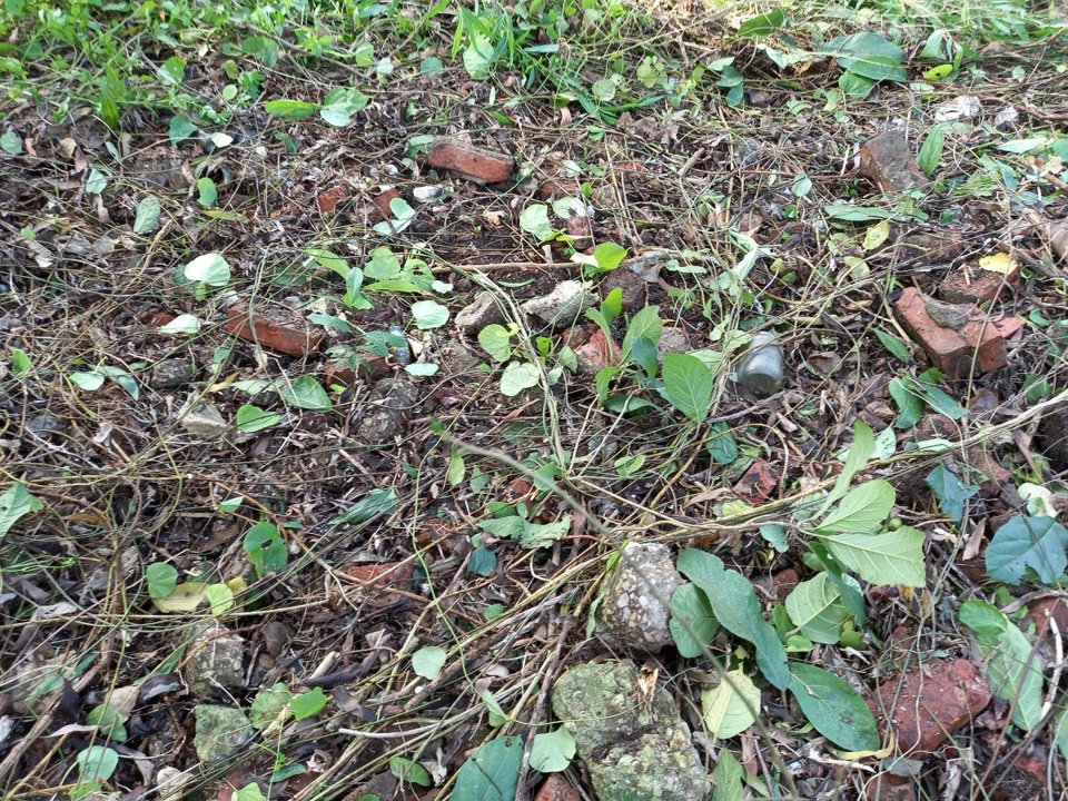 Chai lọ đựng thuốc bảo vệ thực vật lăn l&oacute;c tr&ecirc;n mặt đất