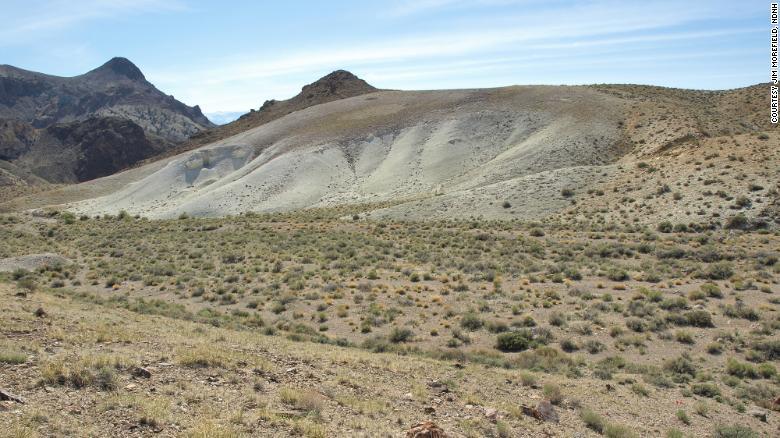 Loài kiều mạch có ở hoang mạch thuộc tiểu bang Nevada có thể biến mất do khai thác Lithium