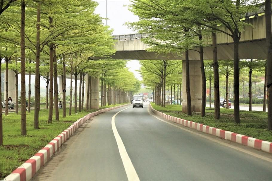 Hà Nội ngày càng có nhiều tuyến đường xanh mát, vừa góp phần bảo vệ môi trường, vừa tạo cảnh quan tươi đẹp cho đô thị