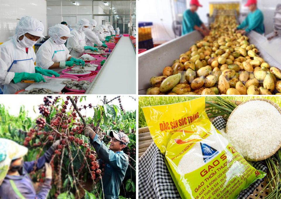Một số mặt hàng thiết yếu như nông, lâm, thủy sản là thế mạnh của Việt Nam trong xuất khẩu. Ảnh: Công Hùng