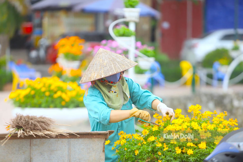 C&aacute;c c&ocirc;ng nh&acirc;n đang gấp r&uacute;t lắp đặt chậu hoa tươi ở khu vực hồ điều ho&agrave; của tuyến phố đi bộ Trịnh C&ocirc;ng Sơn.