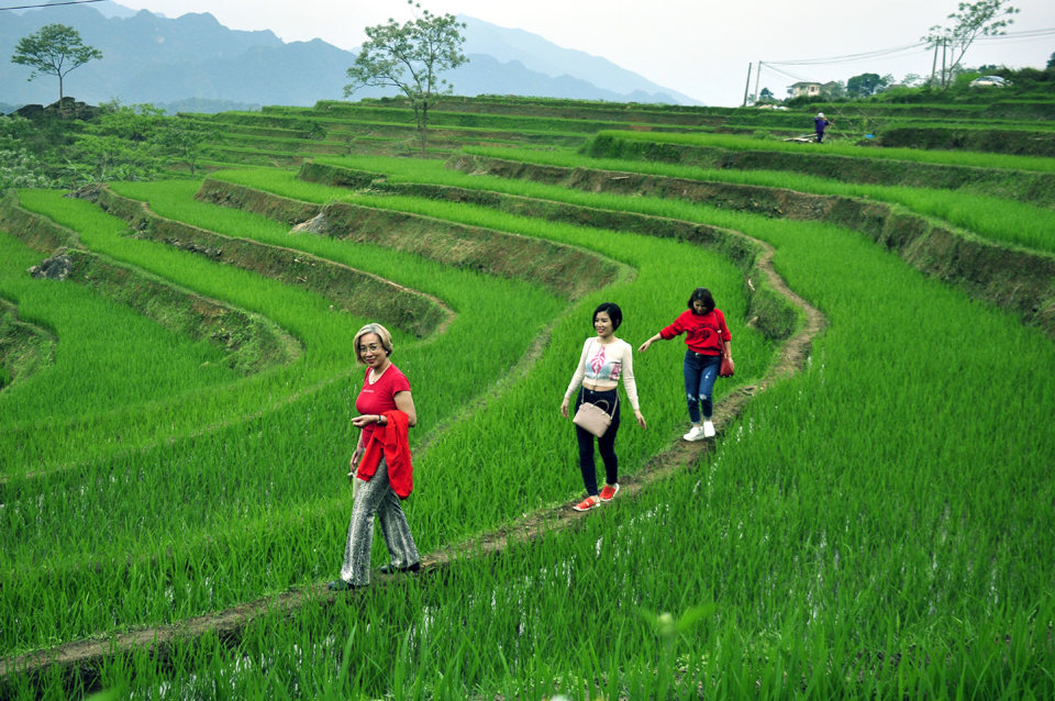 Kh&aacute;ch du lịch tham quan ruộng bậc thang tại P&ugrave; Lu&ocirc;ng.