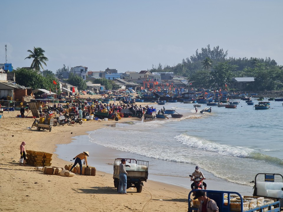 Chợ c&aacute; tr&ecirc;n b&atilde;i biển.