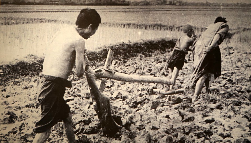 Cảnh khổ cực của người nông dân trước Cách mạng Tháng 8. Ảnh tư liệu