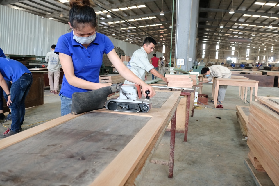 Chế biến gỗ tại Công tyTNHH ĐôngDương,HàNội. Ảnh: Phạm Hùng