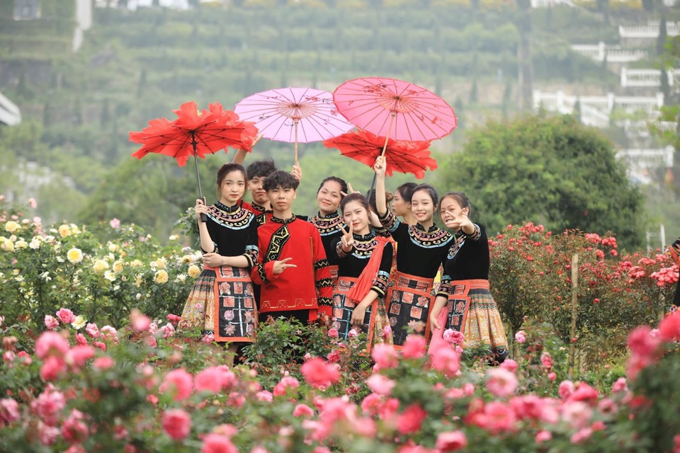 Lễ hội hoa hồng Fansipan tại Sapa