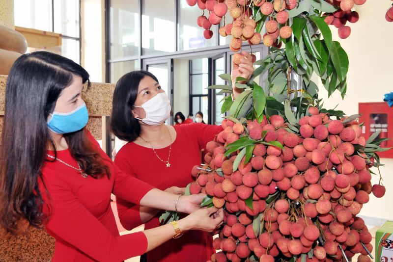 Năm 2022, sản lượng vải thiều to&agrave;n tỉnh Bắc Giang ước đạt khoảng 180.000 tấn