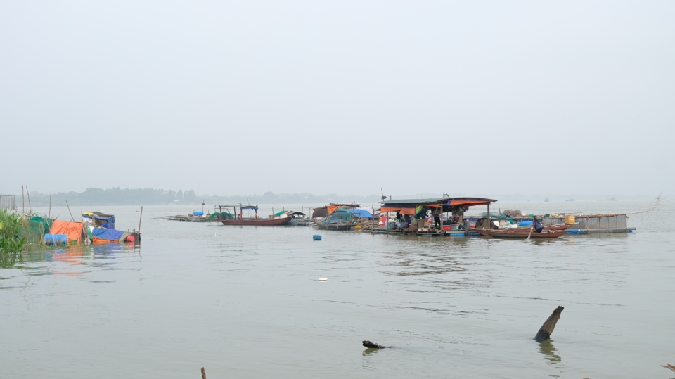 Hàng chục hộ dân làng chài Vạn Vỹ vẫn phải sống trên thuyền bè dù đã được chính quyền xã Trung Châu hỗ trợ đất ở. Ảnh: Lâm Nguyễn