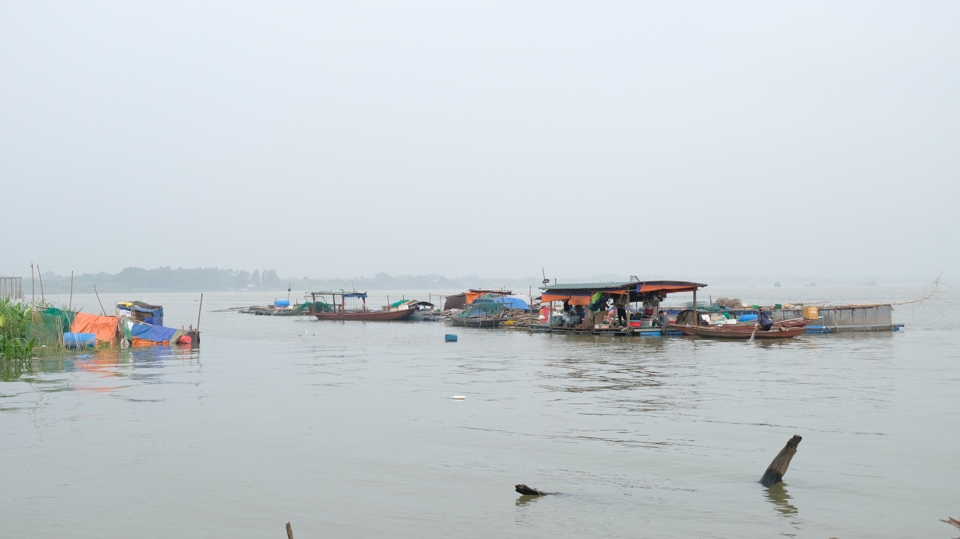 H&agrave;ng chục hộ d&acirc;n l&agrave;ng ch&agrave;i Vạn Vỹ vẫn phải sống tr&ecirc;n thuyền b&egrave; d&ugrave; đ&atilde; được ch&iacute;nh quyền x&atilde; Trung Ch&acirc;u hỗ trợ đất ở. Ảnh: L&acirc;m Nguyễn &nbsp;