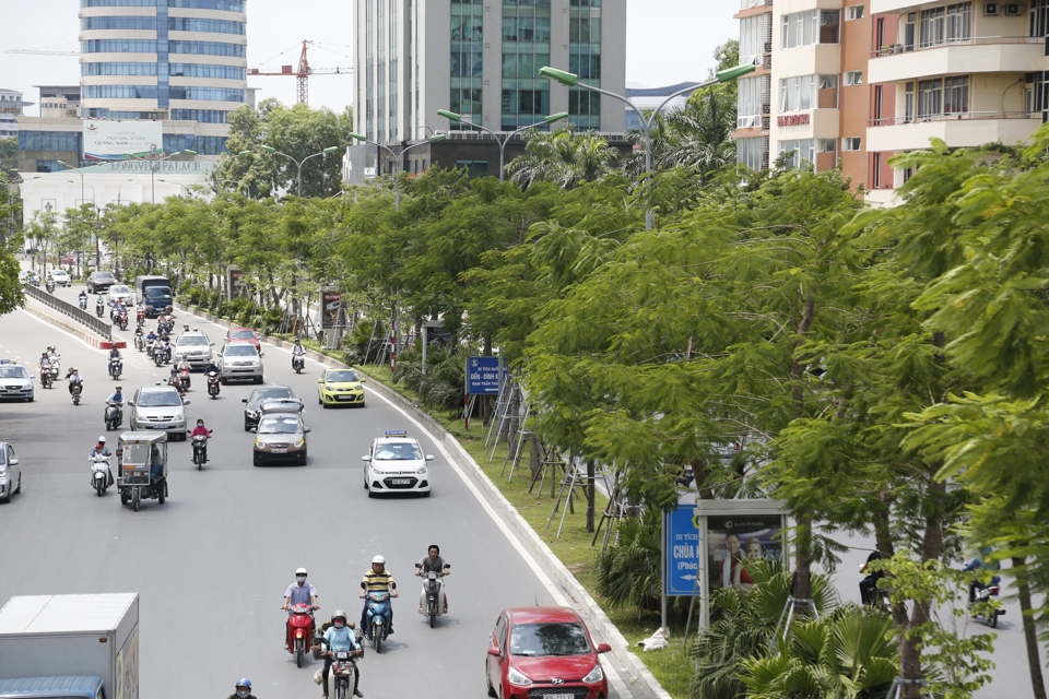 Chương trình trồng 1 triệu cây cối đã hỗ trợ Hà Nội Thủ Đô phát triển thành một Thủ đô có tương đối nhiều cây cối đuối. Ảnh: Thanh Hải