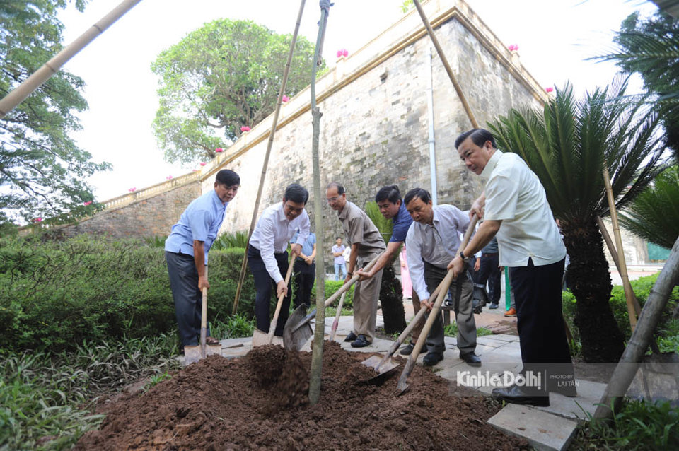 Nh&acirc;n dịp n&agrave;y, Trung t&acirc;m Bảo tồn Di t&iacute;ch Cố đ&ocirc; Huế đ&atilde; trao tặng Trung t&acirc;m Bảo tồn di sản Thăng Long - H&agrave; Nội bốn c&acirc;y ng&ocirc; đồng để trồng tại Ho&agrave;ng th&agrave;nh Thăng Long. Đ&acirc;y l&agrave; loại c&acirc;y qu&yacute;, gắn với mảnh đất cố đ&ocirc; Huế. Bốn c&acirc;y ng&ocirc; đồng l&agrave; t&igrave;nh cảm, tấm l&ograve;ng của người Huế d&agrave;nh cho Thủ đ&ocirc; H&agrave; Nội, c&agrave;ng &yacute; nghĩa hơn khi được trồng ở Ho&agrave;ng th&agrave;nh Thăng Long.