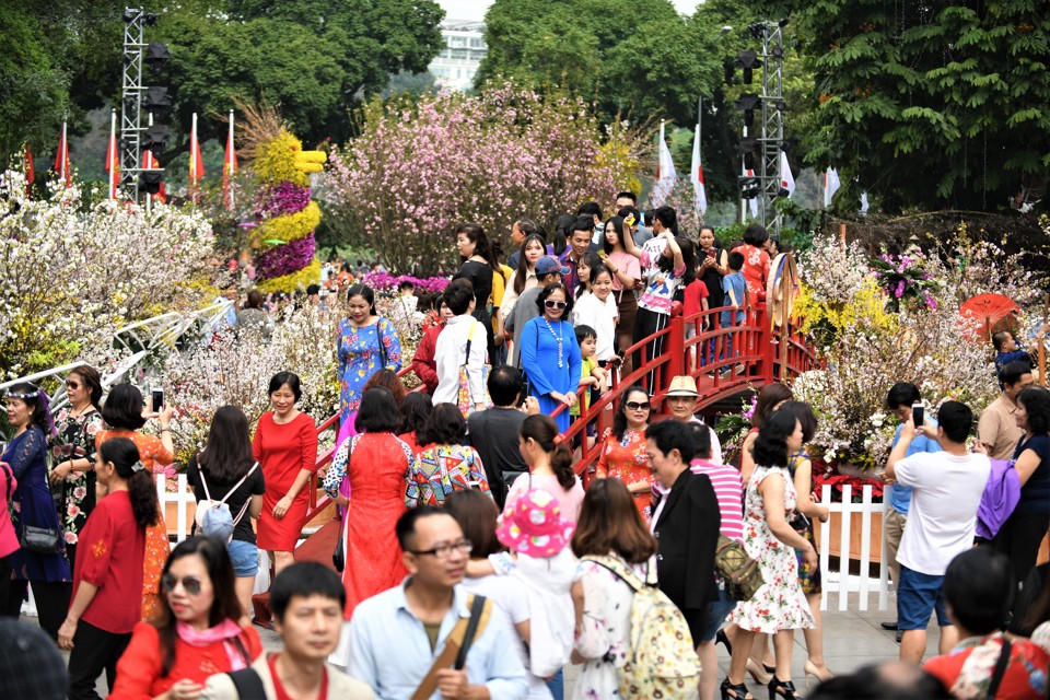 Lễ hội hoa Anh đào tại Hà Nội. Ảnh: Kiều Dương