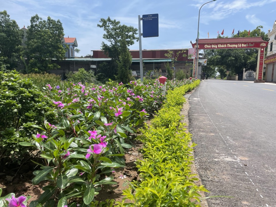 Những tuyến đường hoa tr&ecirc;n địa b&agrave;n x&atilde; Đại Thắng đang tạo ra m&ocirc;i trường, cảnh quan s&aacute;ng, xanh, sạch đẹp