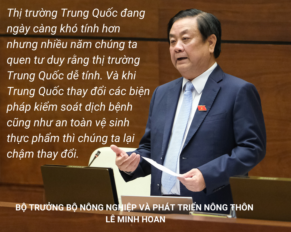 Bộ trưởng Lê Minh Hoan: "Chúng ta quen tư duy thị trường Trung Quốc dễ tính" - Ảnh 1
