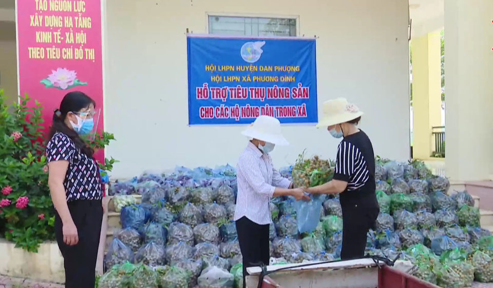 Hội LHPN huyện Đan Phượng kết nối, tiêu thụ nông sản hỗ trợ nông dân. Ảnh: Trần Thảo