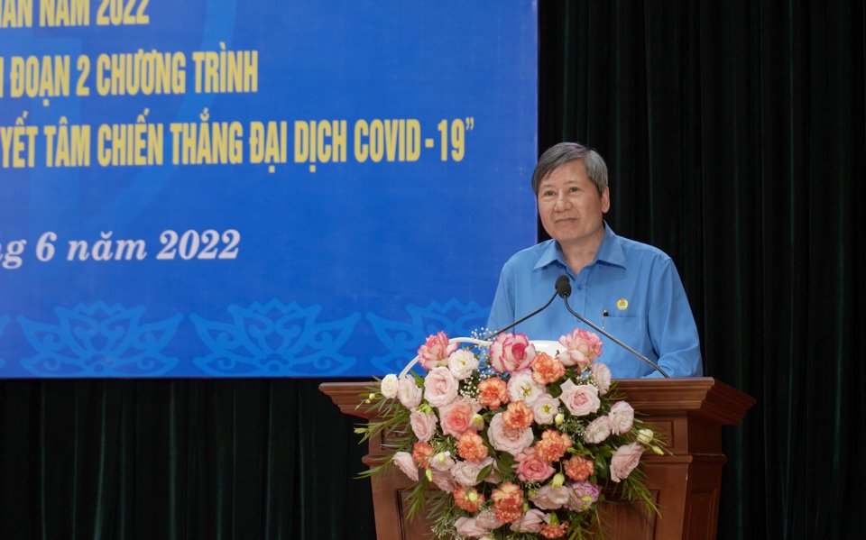 Ph&oacute; Chủ tịch Thường trực Tổng LĐLĐ Việt Nam Trần Thanh Hải ph&aacute;t biểu chỉ đạo hội nghị.&nbsp;