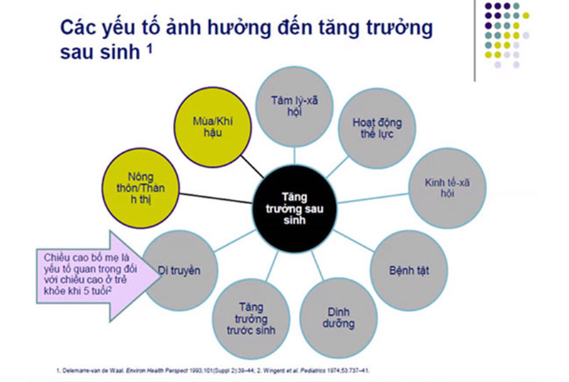 C&aacute;c yếu tố ảnh hưởng đến tăng trưởng sau sinh.