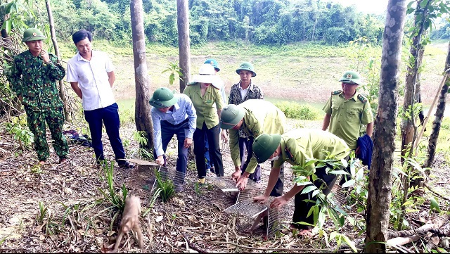 C&aacute;c c&aacute; thể động vật hoang d&atilde; được chăm s&oacute;c đảm bảo sức khỏe trước khi thả về m&ocirc;i trường tự nhi&ecirc;n, ph&ugrave; hợp với v&ugrave;ng ph&acirc;n bố, sinh cảnh của từng lo&agrave;i.