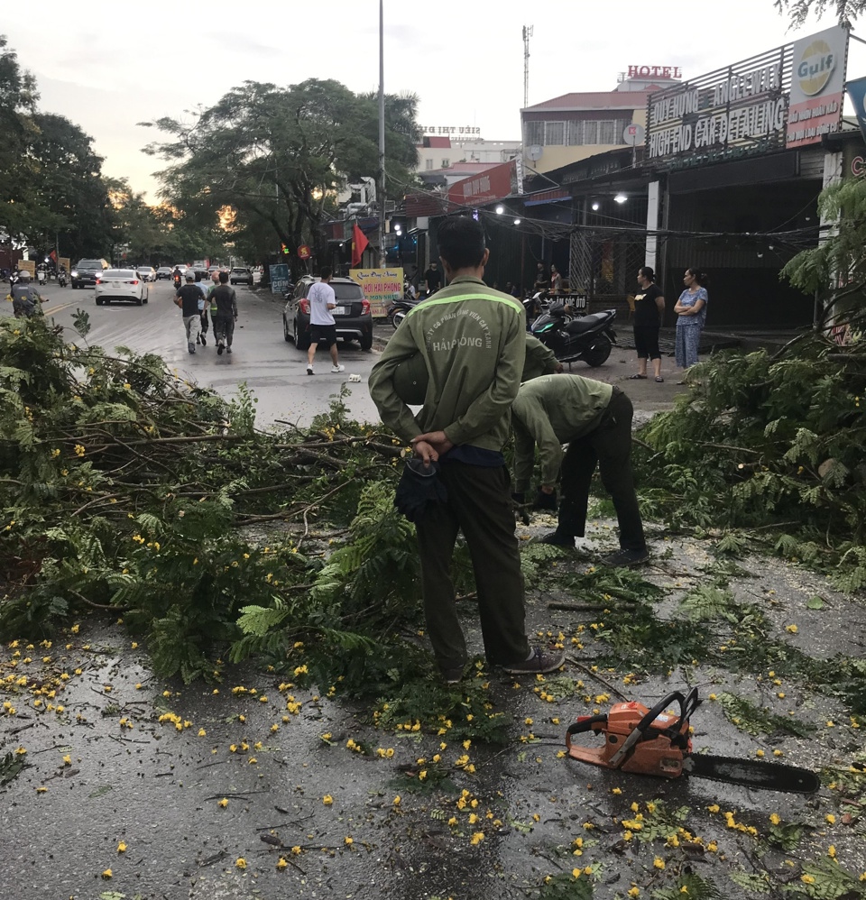 C&ocirc;ng nh&acirc;n C&ocirc;ng ty CP C&ocirc;ng vi&ecirc;n c&acirc;y xanh giải tỏa c&acirc;y đổ tại tuyến đường T&ocirc;n Đức Thắng. Ảnh: Hải Yến