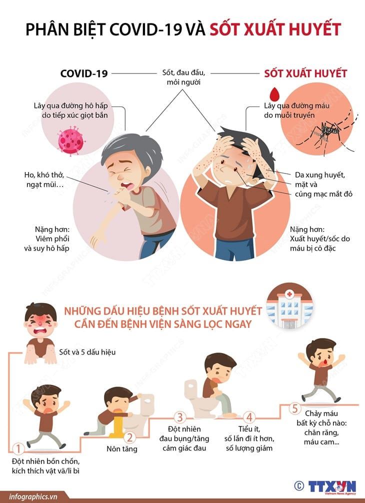 Phân biệt bệnh sốt xuất huyết và Covid-19 - Ảnh 1