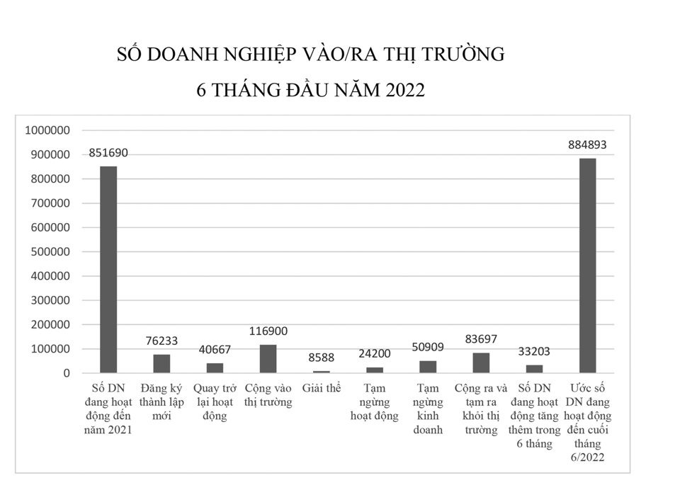 Doanh nghiệp tăng tốc gia nhập thị trường - Ảnh 1