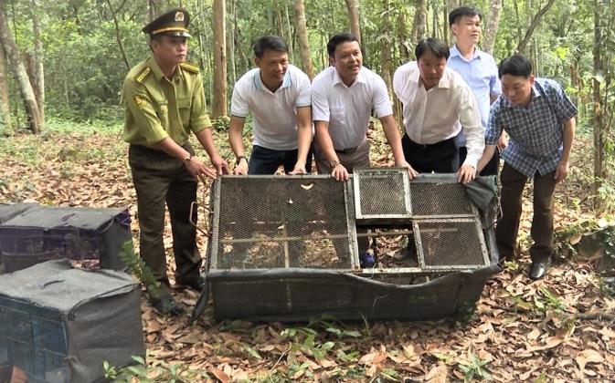 Trung tâm Cứu hộ động vật hoang dã Hà Nội thả nhiều cá thể động vật hoang dã về Vườn Quốc gia Phong Nha - Kẻ Bàng hồi tháng 5/2022. Ảnh: Ngọc Ánh