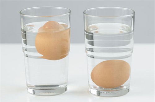 D&ugrave;ng nước bạn c&oacute; thể kiểm tra xem trứng g&agrave; c&ograve;n tươi hay kh&ocirc;ng. Nguồn ảnh: Internnet&nbsp;