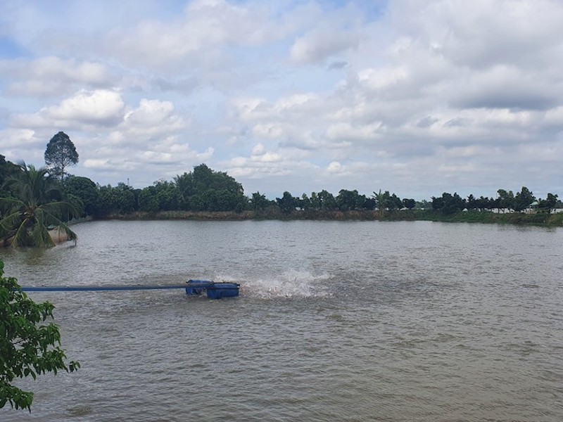 Agribank góp phần thúc đẩy Đồng bằng sông Cửu Long phát triển bền vững - Ảnh 1