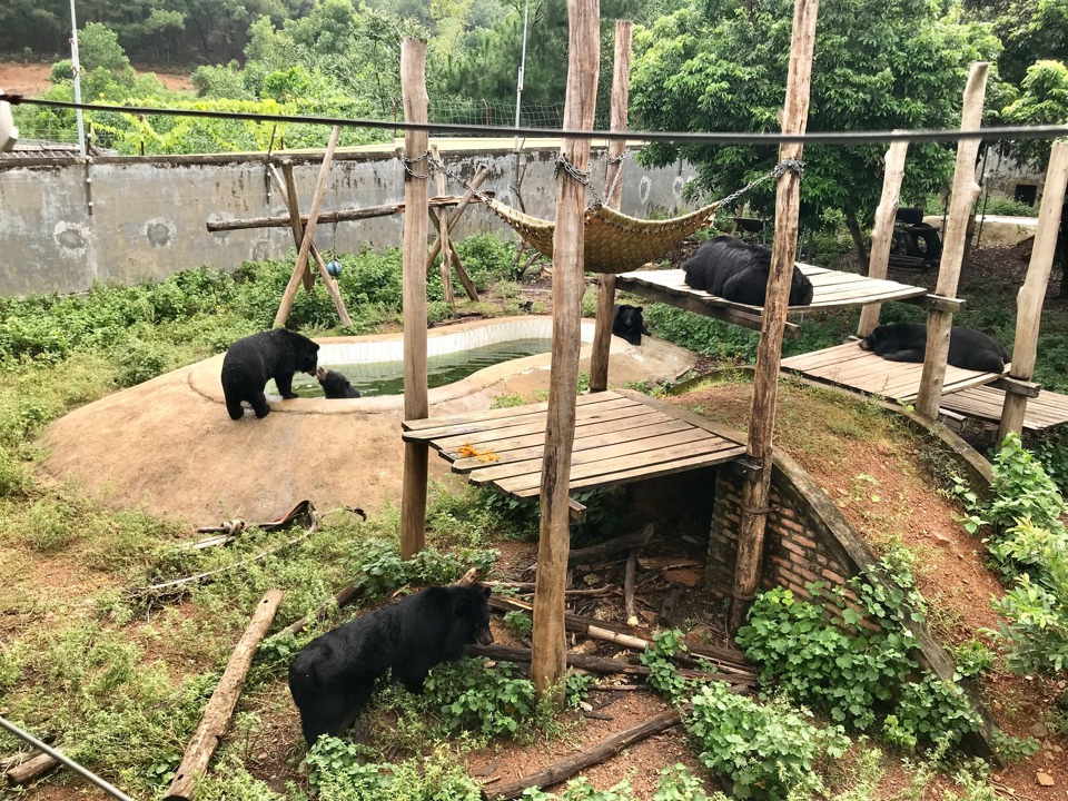 Khu chuồng nuôi gấu bán hoang dã tại Trung tâm Cứu hộ động vật hoang dã Hà Nội. Ảnh: Ánh Ngọc