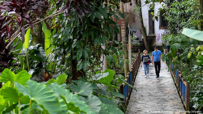 Các “hành lang xanh” của TP Medellin (Colombia) đã làm giảm nhiệt độ trung bình ở thành phố này khoảng 2 độ C. Ảnh: DW