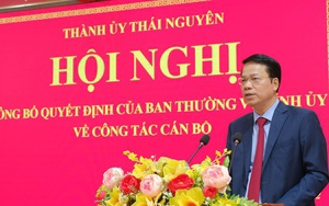 Phê chuẩn ông Nguyễn Thành Diệu giữ chức Phó Chủ tịch UBND tỉnh Tiền Giang - Ảnh 2