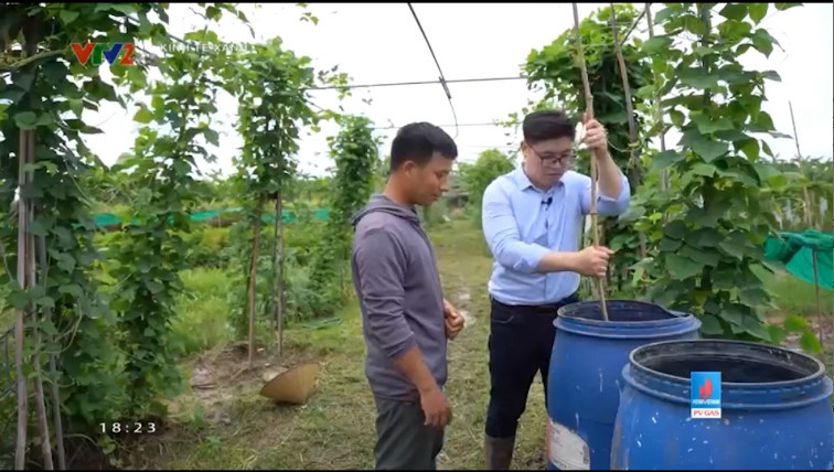 Chương trình Kinh tế xanh phát triển mô hình nông nghiệp hữu cơ tại Việt Nam - Ảnh 2