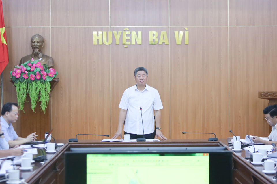 Ph&oacute; Chủ tịch UBND TP H&agrave; Nội Nguyễn Mạnh Quyền ph&aacute;t biểu kết luận buổi l&agrave;m việc.