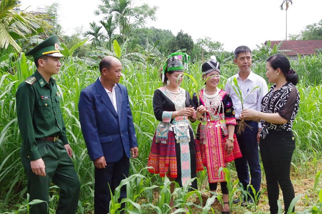 Ch&iacute;nh quyền c&aacute;c cấp ở huyện Hương Sơn chia sẻ kinh nghiệm trồng hoa m&agrave;u cho d&acirc;n bản Thoọng Pẹ (L&agrave;o)