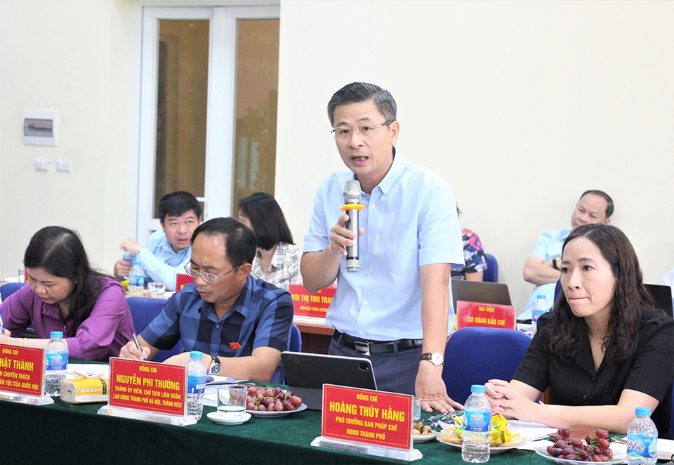 ĐB Quốc hội Nguyễn Phi Thường ph&aacute;t biểu tại buổi khảo s&aacute;t.