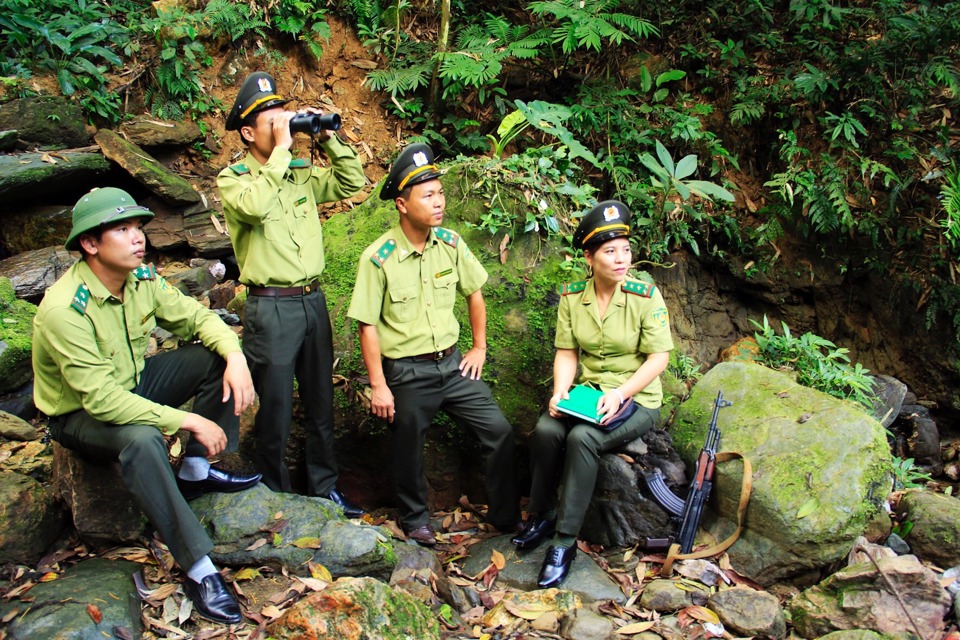 Lực lượng kiểm lâm Hà Nội tăng cường tuần tra góp phần quản lý, bảo vệ rừng hiệu quả. Ảnh: Ngọc Ánh