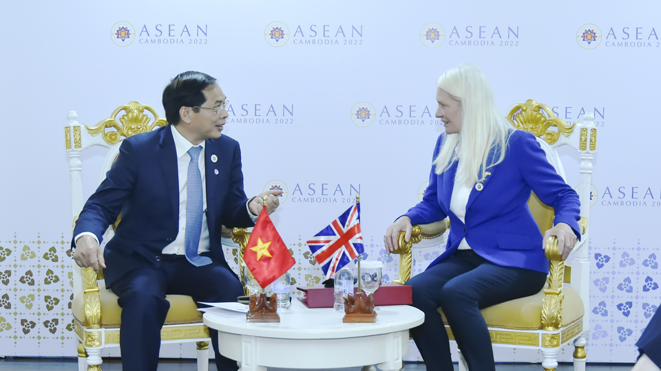 Bộ trưởng B&ugrave;i Thanh Sơn gặp Quốc vụ khanh Bộ Ngoại giao Anh Amanda Milling