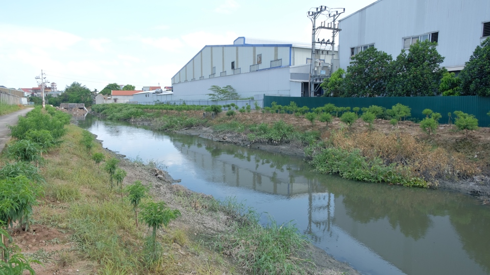 Con kênh nằm ven cụm công nghiệp tại xã Tân Quang (huyện Văn Lâm, tỉnh Hưng Yên) với nguồn nước bị ô nhiễm dẫn vào hệ thống thủy lợi Bắc Hưng Hải. Ảnh: Lâm Nguyễn
