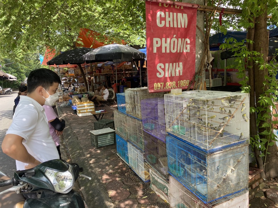 Người mua chim ph&oacute;ng sinh tr&ecirc;n đường Ho&agrave;ng Hoa Th&aacute;m.