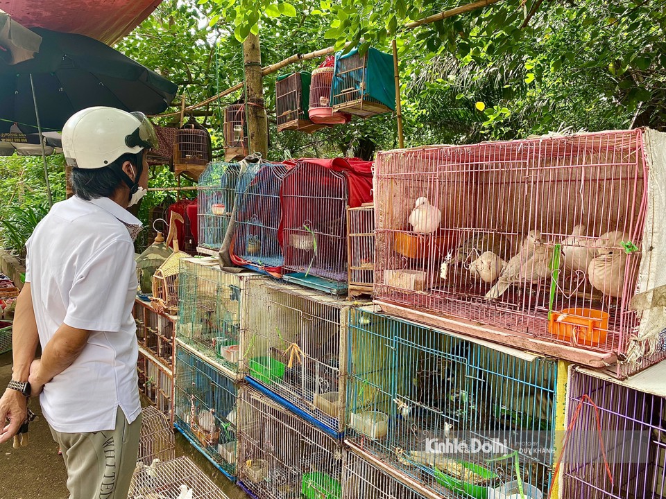 &Ocirc;ng L&ecirc; Mạnh Dũng (quận Ba Đ&igrave;nh, TP H&agrave; Nội) tới để t&igrave;m mua chim ph&oacute;ng sinh cho biết: &ldquo; Nh&agrave; t&ocirc;i gần với phố b&aacute;n chim ph&oacute;ng sinh, h&ocirc;m nay nh&agrave; t&ocirc;i c&uacute;ng Rằm th&aacute;ng Bảy trước n&ecirc;n t&ocirc;i ra lựa chọn mua về thả ph&oacute;ng sinh.&nbsp;