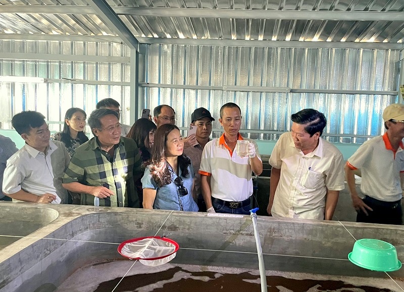 Lãnh đạo UBND tỉnh Quảng Trị cùng các sở, ngành, địa phương tìm hiểu mô hình nuôi và chế biến thủy sản tại tỉnh Cà Mau của Tập đoàn CAMIMEX. 