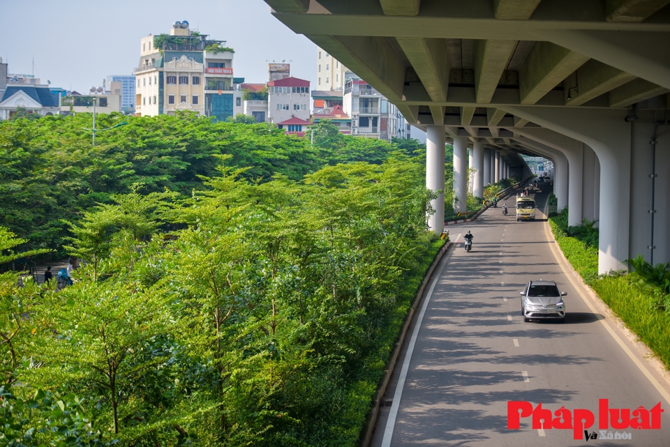 Trước đ&oacute; 5 năm, h&agrave;ng c&acirc;y x&agrave; cừ bị di dời đ&atilde; g&acirc;y ra nhiều &yacute; kiến tr&aacute;i chiều.