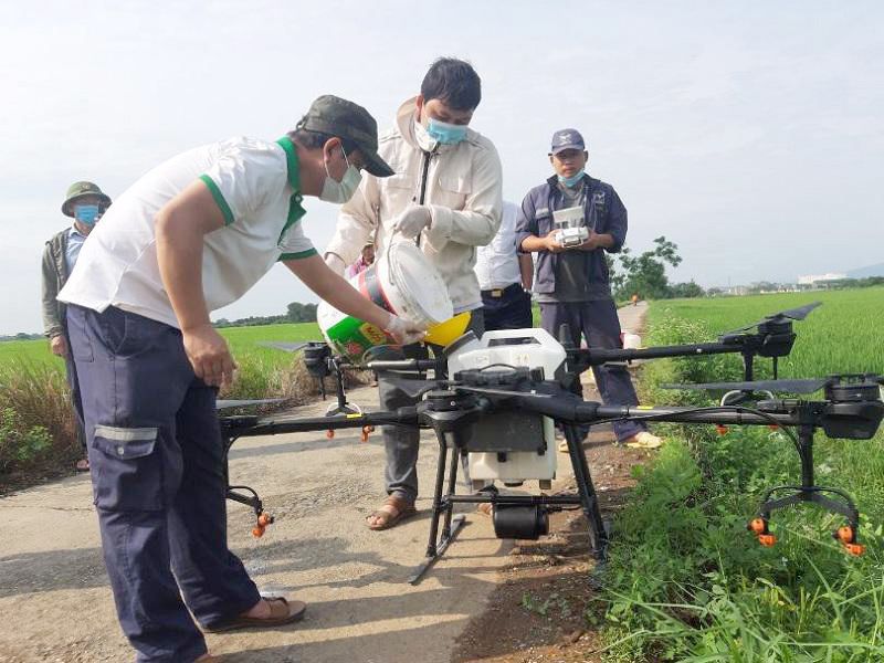 Phun thuốc trừ s&acirc;u bằng m&aacute;y bay kh&ocirc;ng người l&aacute;i gi&uacute;p tiết kiệm nguy&ecirc;n liệu v&agrave; nh&acirc;n c&ocirc;ng tại huyện Thạch Thất, H&agrave; Nội. Ảnh: Vũ V&acirc;n