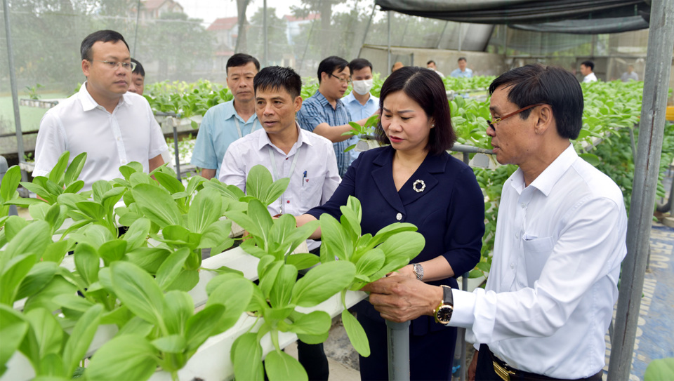 Ph&oacute; B&iacute; thư Thường trực Th&agrave;nh ủy H&agrave; Nội Nguyễn Thị Tuyến kiểm tra hoạt động sản xuất n&ocirc;ng nghiệp tr&ecirc;n địa b&agrave;n huyện S&oacute;c Sơn ng&agrave;y 30/5/2022. Ảnh: Phạm H&ugrave;ng