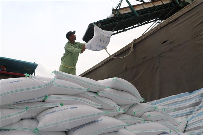 Bốc xếp gạo xuất khẩu tại tỉnh An Giang. Ảnh: Công Mạo