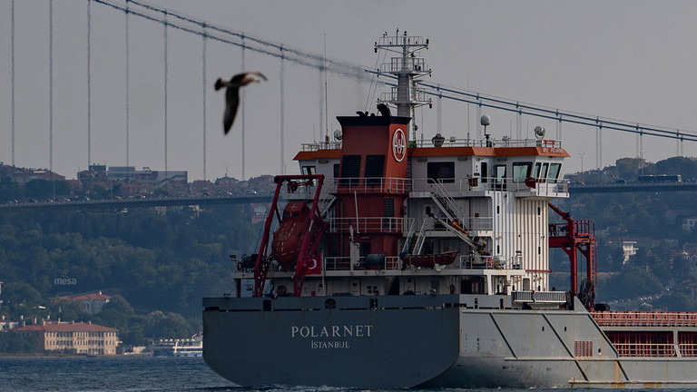 T&agrave;u Polarnet mang cờ Thổ Nhĩ Kỳ vận chuyển ngũ cốc từ Ukraine đi qua eo biển Bosphorus h&ocirc;m 7/8/2022. Ảnh: AFP