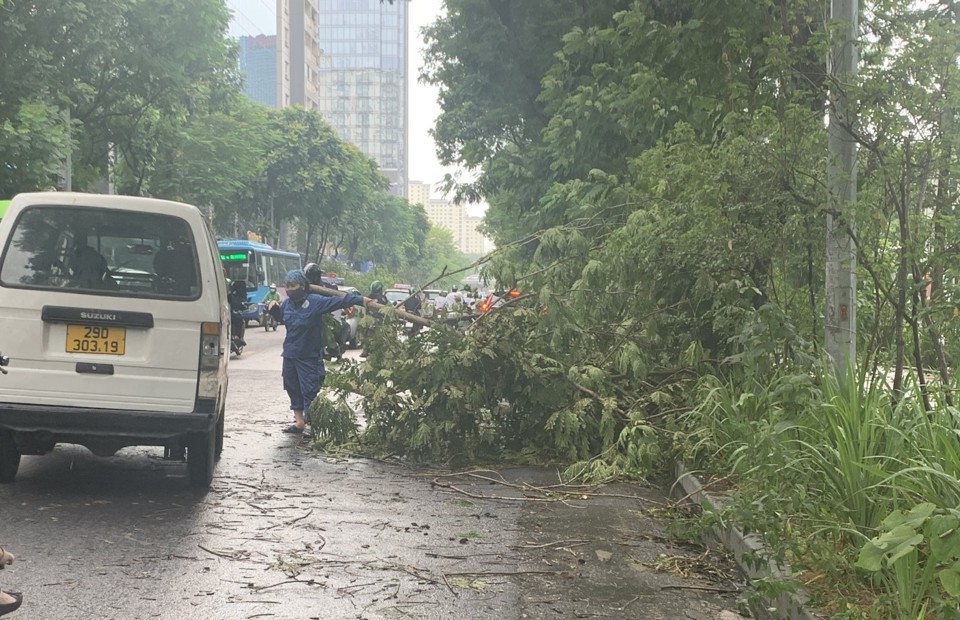 Hà Nội: Nhiều cây xanh gãy, đổ do mưa dông - Ảnh 7