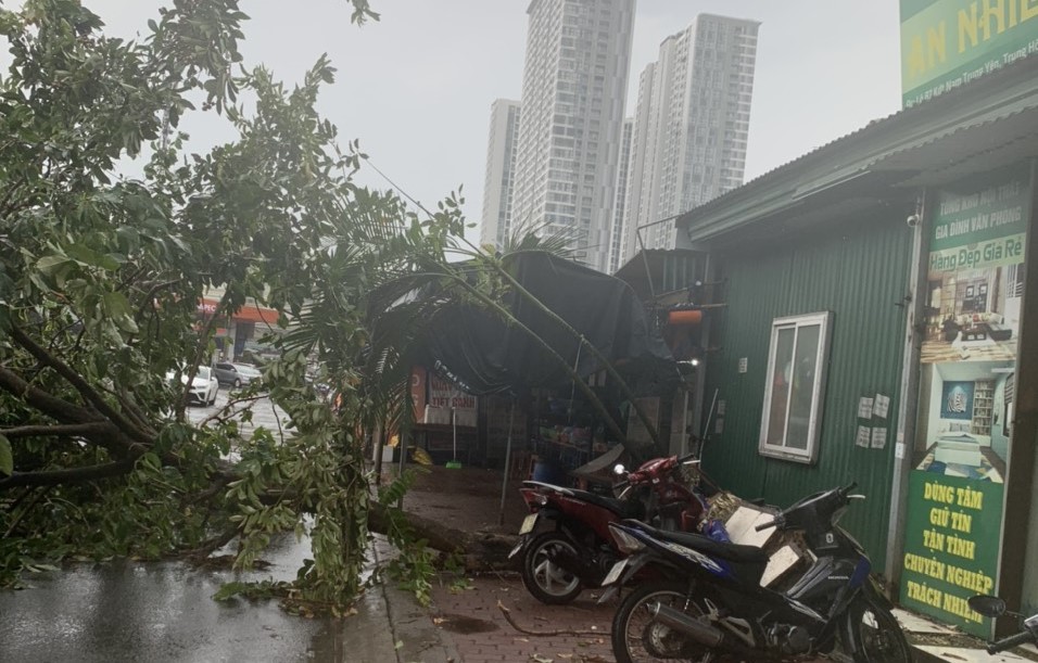 Hà Nội: Nhiều cây xanh gãy, đổ do mưa dông - Ảnh 3