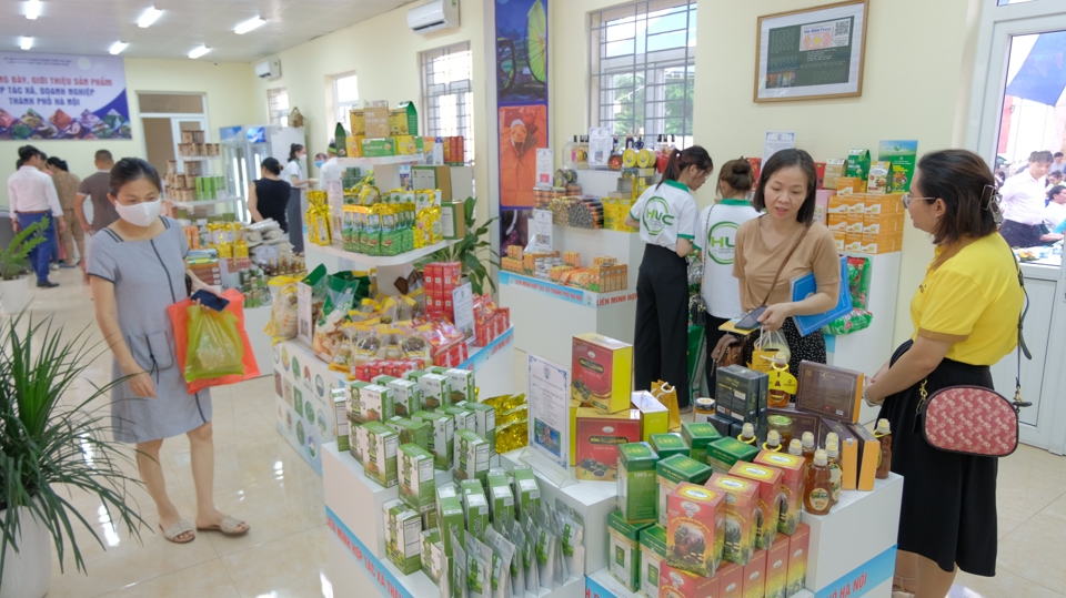 Khách hàng chọn mua nông sản, thực phẩm an toàn tại một siêu thị trên địa bàn Hà Nội. Ảnh: Lâm Nguyễn