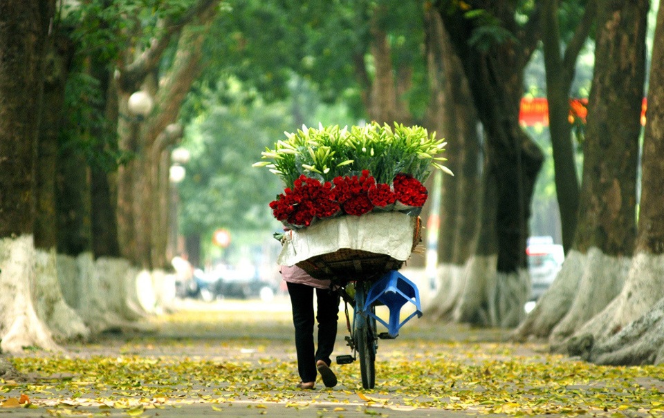 Dự b&aacute;o thời tiết ng&agrave;y 27/9/2022: H&agrave; Nội ng&agrave;y nắng, đ&ecirc;m mưa r&agrave;o. Ảnh: Internet